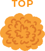 PAGE TOP